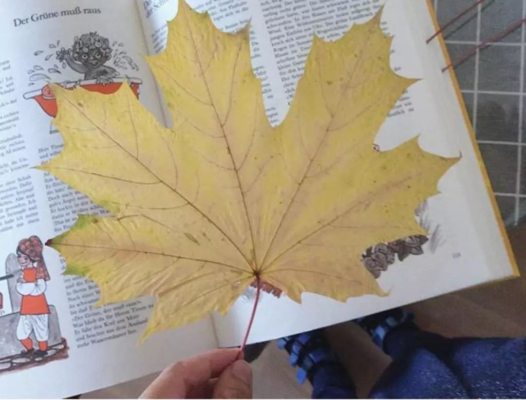 如何给孩子准备生日派对,孩子的生日派对如何准备