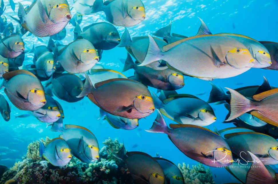 巴厘岛直飞中国航班,飞印尼巴厘岛要多久