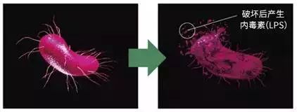 闭着嘴巴都感觉口腔有异味,闭着嘴巴嘴巴里有一股臭味