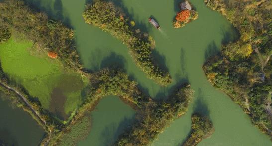 耗时3年的花间堂创始人新作，以船代步揭开杭城小众一面