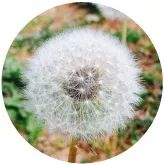 图书馆书逾期一天归还,图书借阅超期如何处理