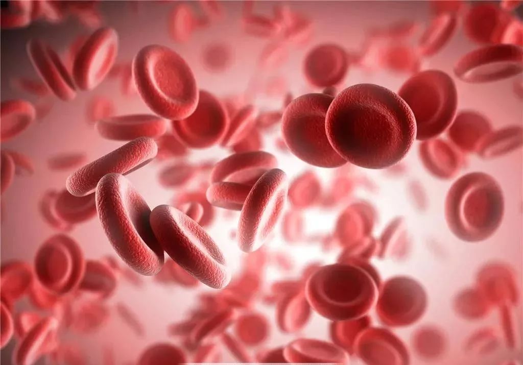 关于艾滋病防治知识的宣传视频,这些防控知识你记住了吗