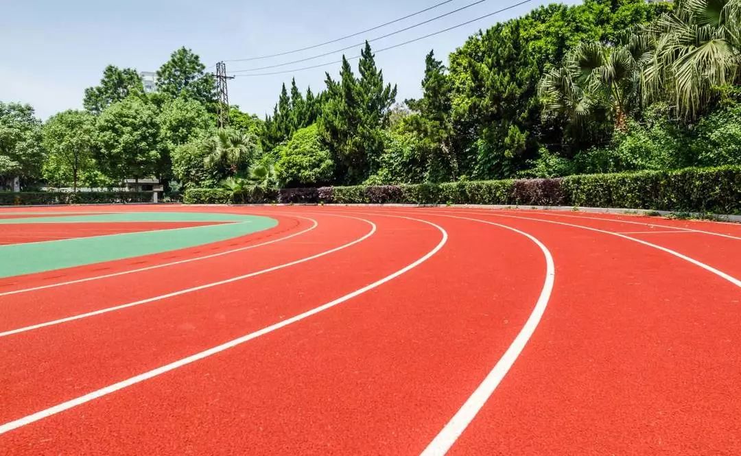 学生在学校被同学撞伤没有摄像头,在学校被同学撞伤需要报警吗