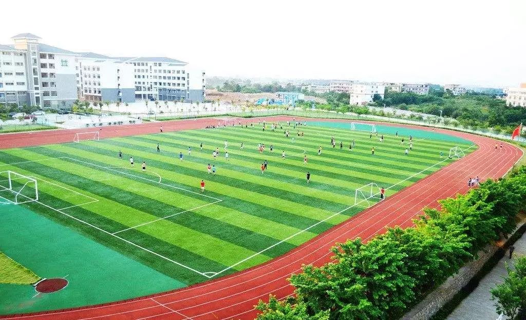 学生在学校被同学撞伤没有摄像头,在学校被同学撞伤需要报警吗