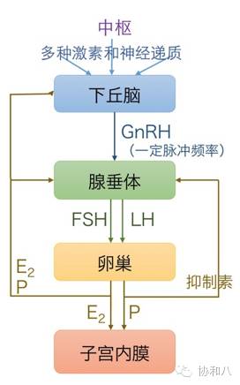 亲戚不来回礼怎么办,亲戚不来怎么办