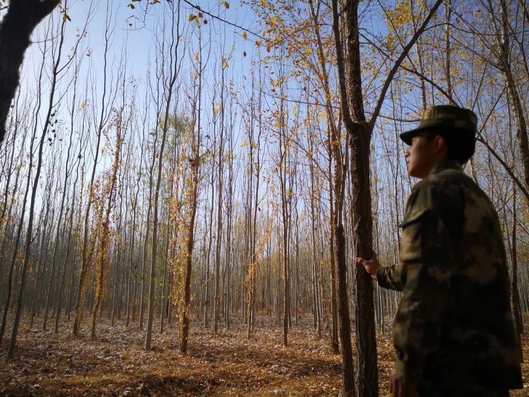 战友熄灯号小视频,熄灯号军旅曲