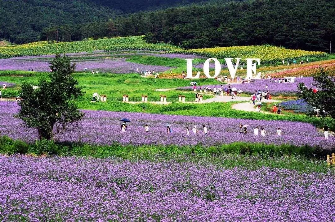 铓傝殎閲戞湇鍏ヨ偂涓閲戣储,铓傝殎閲戞湇閲戣瀺绉戞妧鍩洪噾