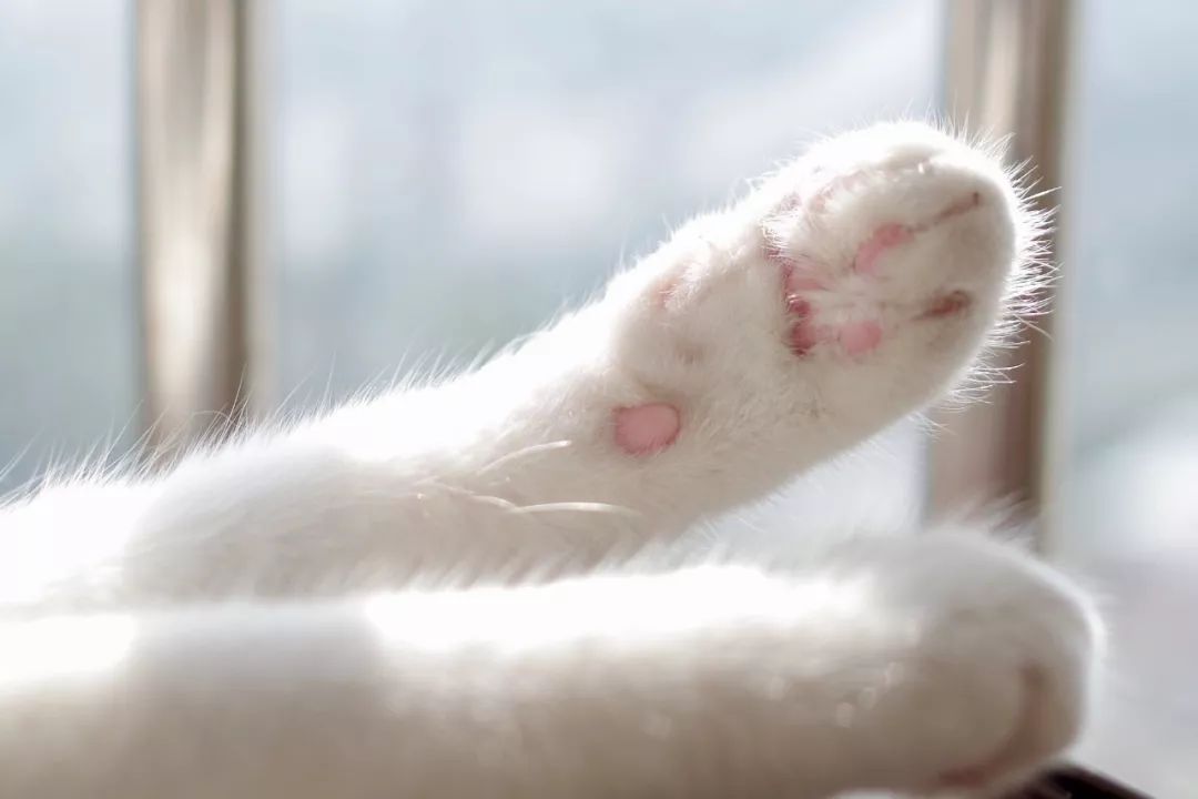 突发高烧淋巴肿大,女性腋下肿大发烧怎么回事