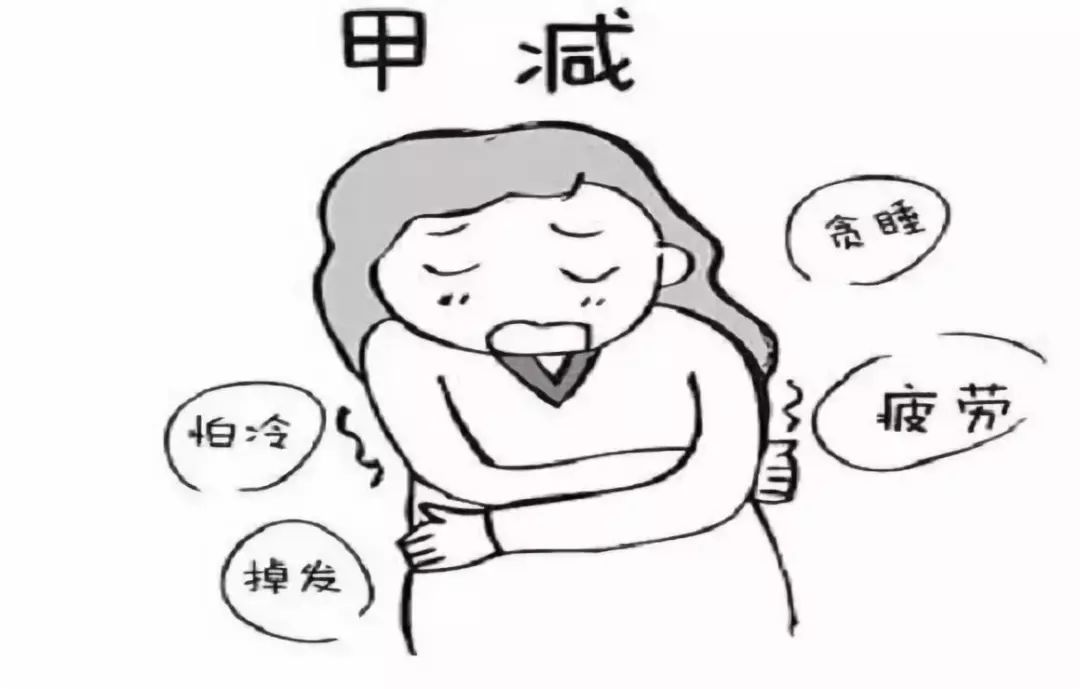 衰老背后的秘密,衰老的秘密藏在细胞里