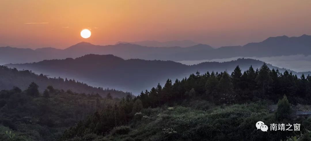 南靖茶旅融合,茶旅融合的风景