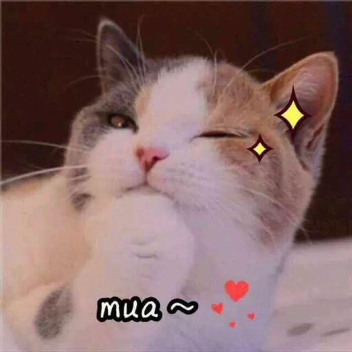 各种沙雕的网友是我的快乐源泉,沙雕是网友快乐的源泉