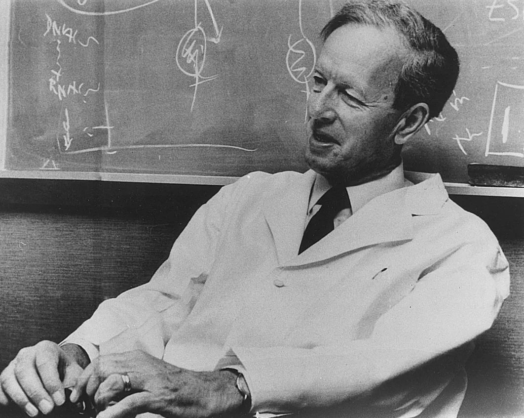 周郁鸿治疗华氏巨球蛋白血症,华氏巨球蛋白血症最新治疗方法