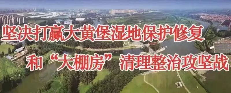 武清城区这个小区的业主有福了，这件事要投资近100万！