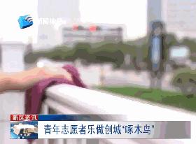 舟山越来越好,舟山越来越好下一句是什么