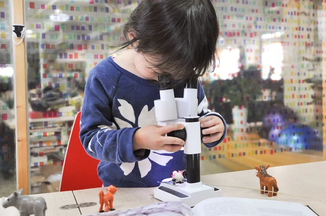 双12给宝宝囤的宝宝用品,双12宝宝必买清单