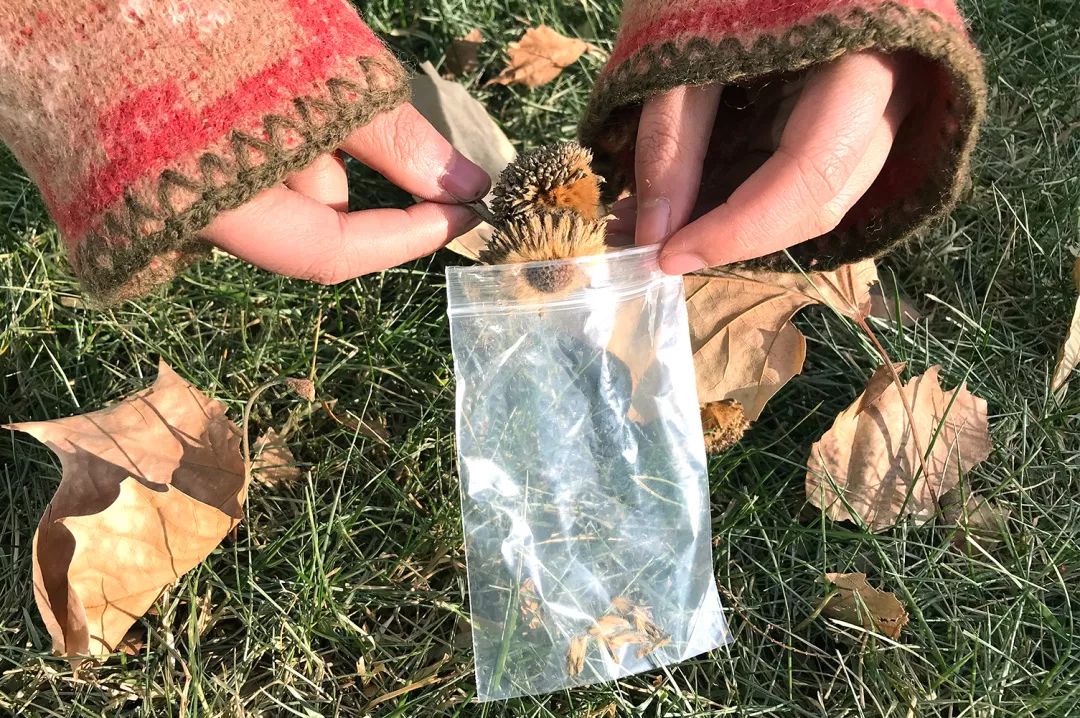 双12给宝宝囤的宝宝用品,双12宝宝必买清单