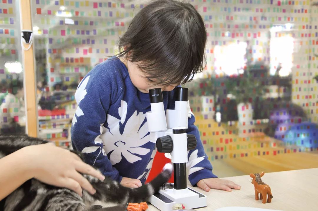 双12给宝宝囤的宝宝用品,双12宝宝必买清单