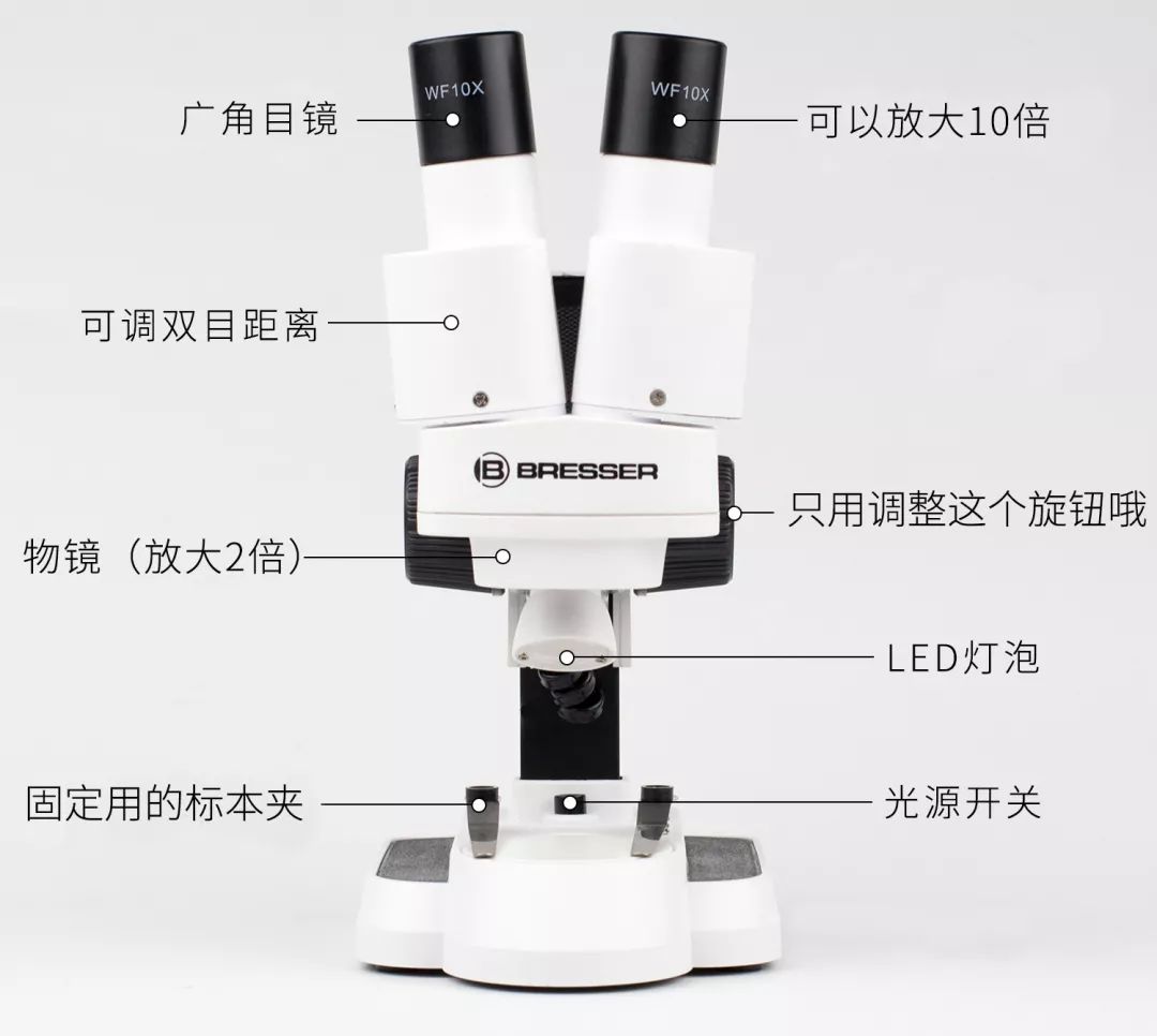 双12给宝宝囤的宝宝用品,双12宝宝必买清单