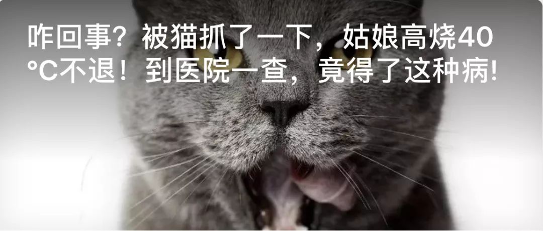 女子反复便血后续,28岁女性反复便血一年多