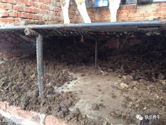 养牛漏粪板成功案例,养牛铸铁漏粪板