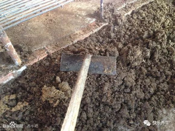 养牛漏粪板成功案例,养牛铸铁漏粪板