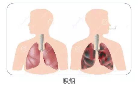 2018年要做的18件事情,2018年还剩多少天