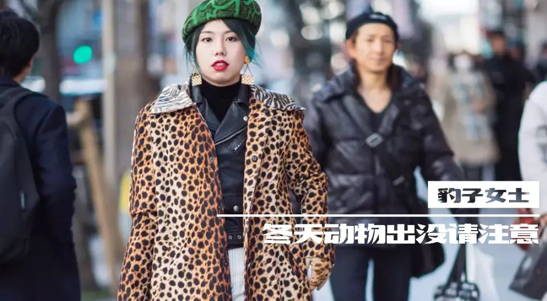 我的收藏夹图片,我的收藏夹内容