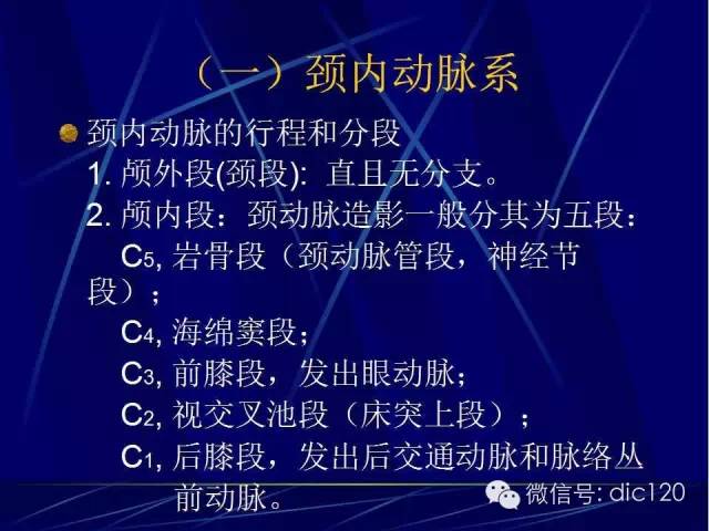 脑血管解剖技巧,脑血管解剖与介入