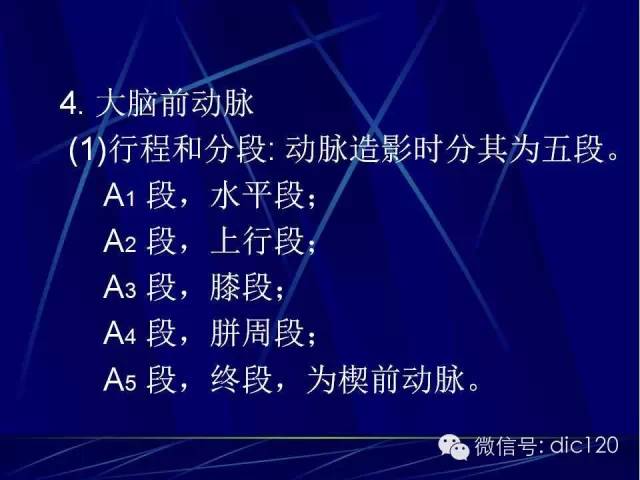脑血管解剖技巧,脑血管解剖与介入
