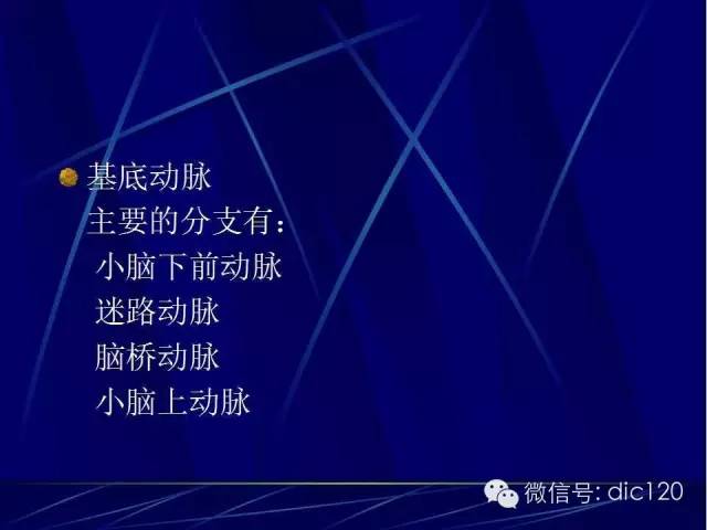 脑血管解剖技巧,脑血管解剖与介入