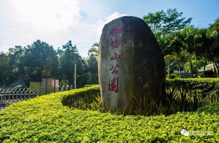 打造宝安版“高新科技园”！铁仔山片区创建高新技术大科技城