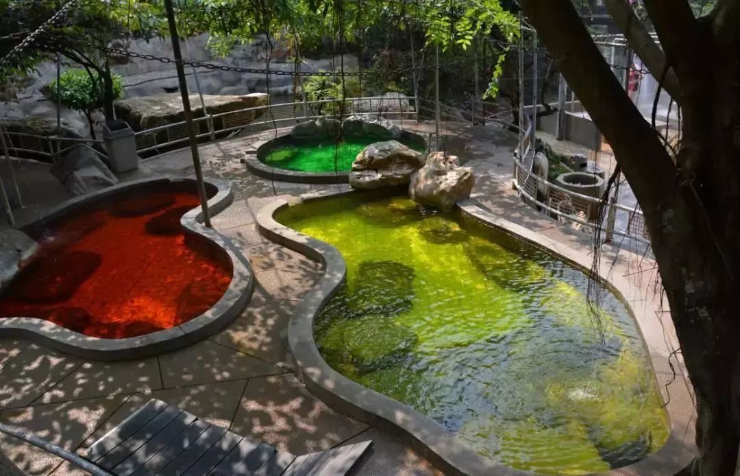 红河温泉胜地,红河温泉开远