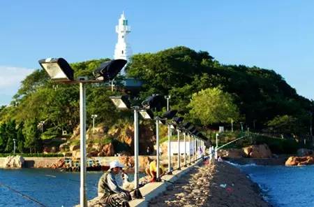 西宁到青岛飞机多长时间,西宁到青岛有多远