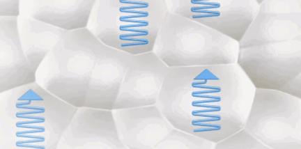 变态脚感，超级百搭！火遍全球的椰子鞋，又靓又撩潮到爆