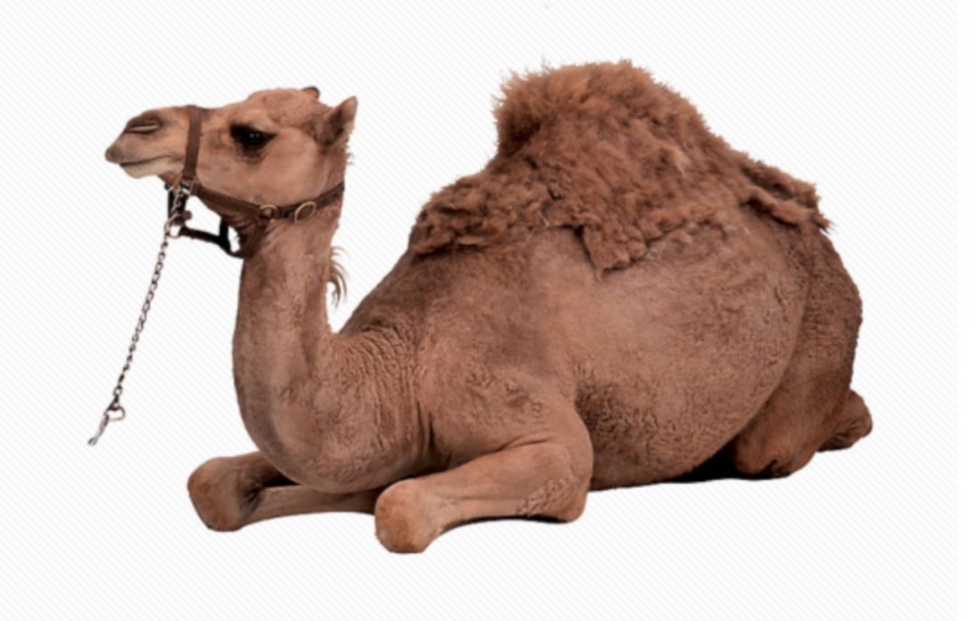 互联网人：焦虑、抑郁症的自我治疗方法！