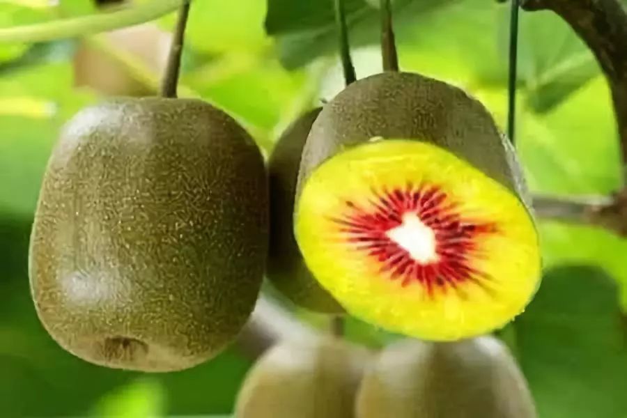 2024浙江名优农产品上海展销会,浙江名特优农产品在光大展销吗