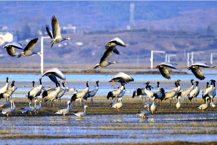 威宁草海一日游最佳攻略,威宁草海之旅