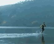 快瞧那只壁虎！它会“凌波微步”