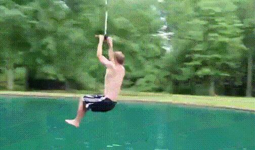 快瞧那只壁虎！它会“凌波微步”