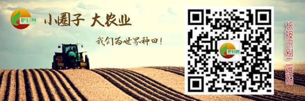 作物补充钙肥的最佳时期,钙在作物中吸收