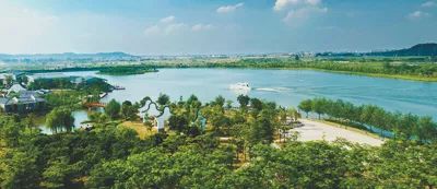 人民日报点评佛山,人民日报回顾2020