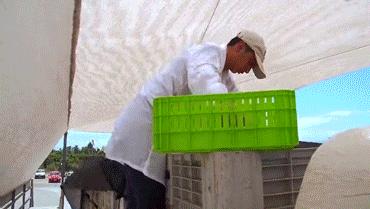 赣州车厘子最新官方消息,赣州产车厘子