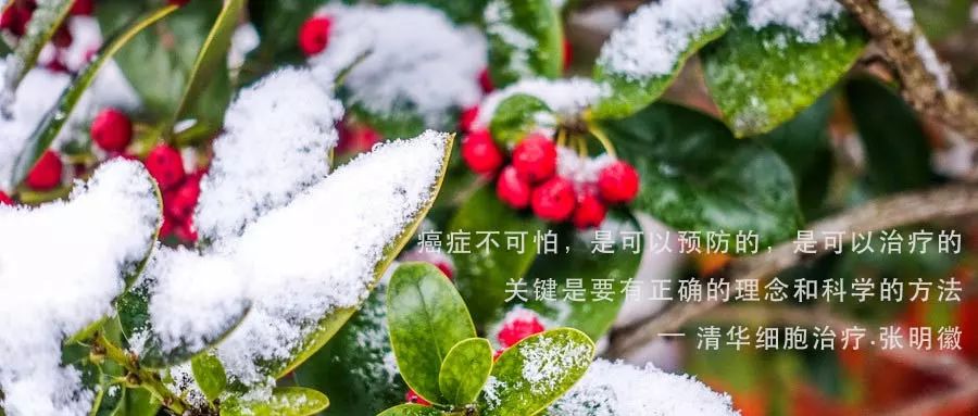 「肝胆管细胞癌，NKT治疗案例展示」清华NKT·乐和亲友2016-43