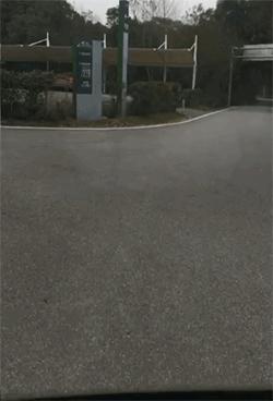 有驾照的恭喜了已公布新消息,没考驾照的恭喜了有一个消息