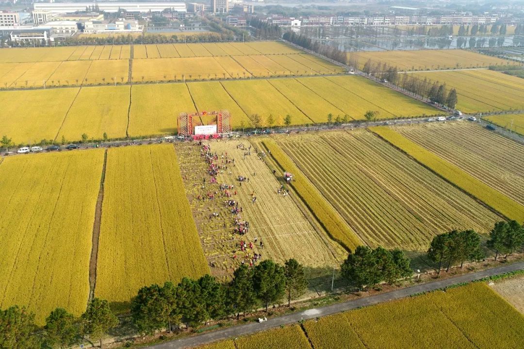 这里是安徽,这里是新安