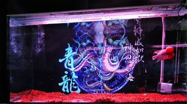 自制鱼缸鱼便收集器视频教程全集,自制diy鱼缸防跳盖