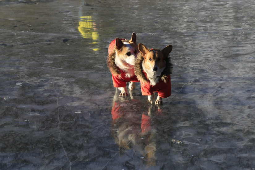 藏地秘境，贡嘎雪山之冷噶措自驾*行游**迹