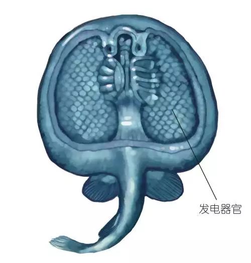 你们两个不要打架,高情商回复你别到处放电