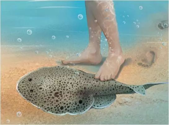 你们两个不要打架,高情商回复你别到处放电