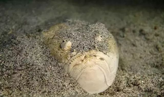 你们两个不要打架,高情商回复你别到处放电